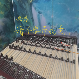 扬琴-请不要带我走。