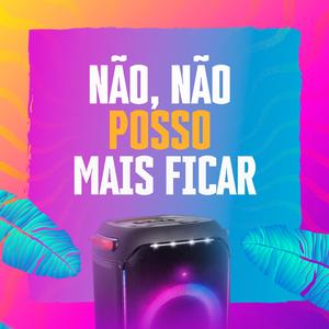 Não, Não Posso Mais Ficar