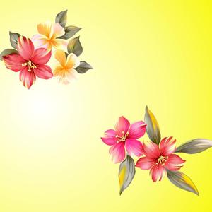 花开的时候你就来看我（翻自 张冬玲）