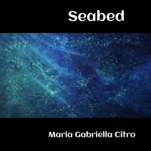 Seabed