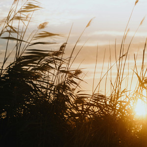 别留下太多遗憾