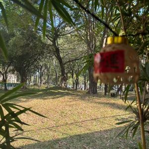 逃避（prod undislove）