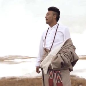 家园--果洛尖参