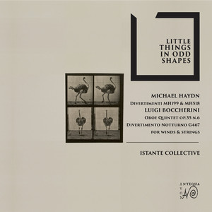 Michael Haydn, Divertimento in B Flat Hm199, 3. Minuetto