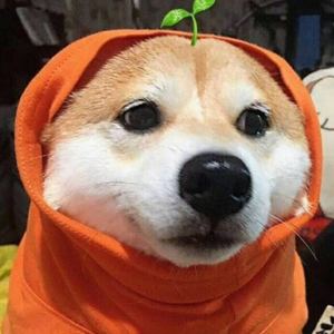 曾轶可-有可能的夜晚（二手 remix）