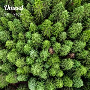 Umeed