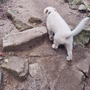 사막에서 오아시스를 찾다 (lofi road)