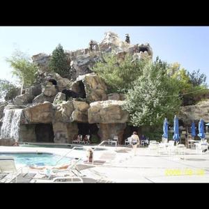 Computer Driven Wildlife Show