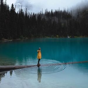 驼铃摇晃着旧光阴