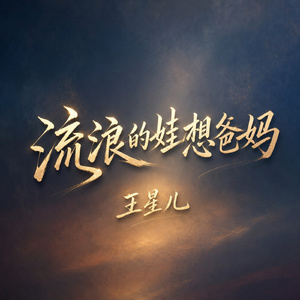 流浪的娃想爸妈