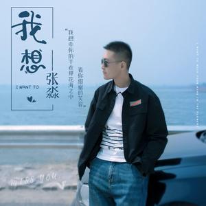 我想 伴奏