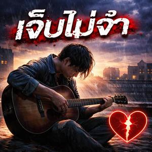 เจ็บไม่จำ