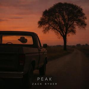 DIM SIGN (Dark Country Music)