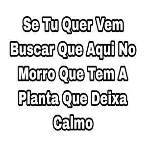 Se Tu Quer Vem Buscar Que Aqui No Morro Que Tem A Planta Que Deixa Calmo