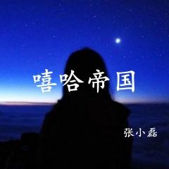 不再碰感情 (DJ版)