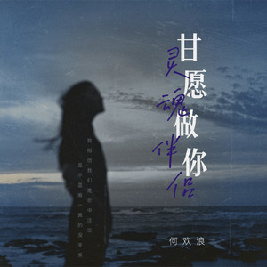 甘愿做你灵魂伴侣