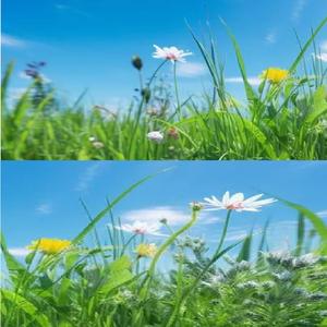 goingcraazy (feat. $hamZit)