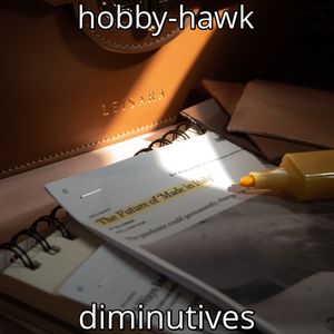 Hobbyhawk