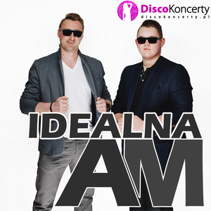 Idealna (Radio Edit)