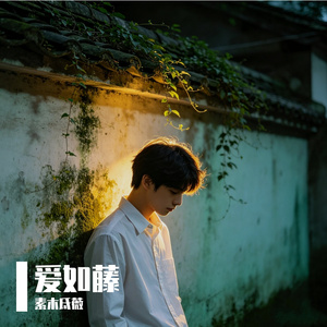 你是我年轮上的青色