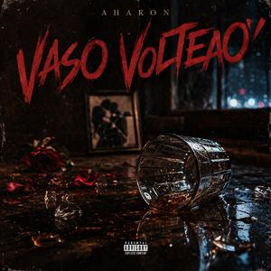 Vaso Volteao'