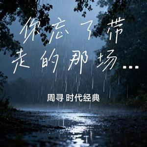 你忘了带走的那场雨