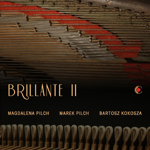 Piano Trio No. 1 in D Minor, Op. 49, MWV Q 29 (Version for Flute, Cello & Piano):I. Molto allegro agitato