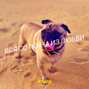 Вся соткана из любви