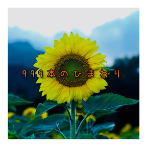 999本のひまわり