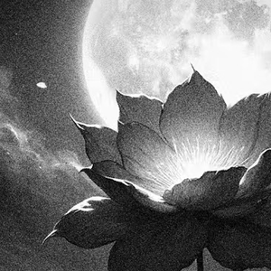 不许你忽视我的存在