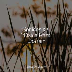 Monte en La Almohada