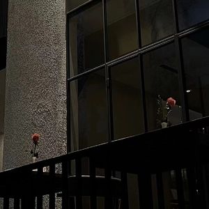 远在眼前（谢安琪版）