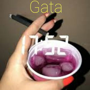 Gata