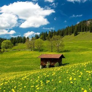 这世界你带我回来