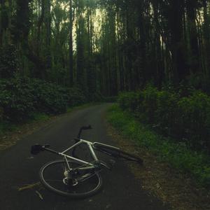 Kindergarten Juliet (Moonrise Version)