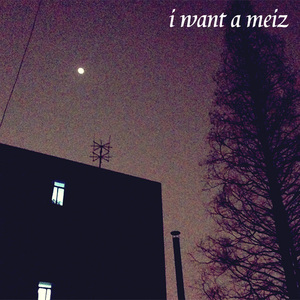 I want a meiz