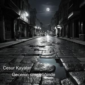 Gecenin sessizliğinde