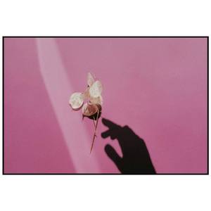 心拍数（小欣饼干版）