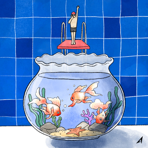 Diving (Art. WIZNIGHT)