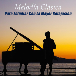 Favorece La Retención De Información