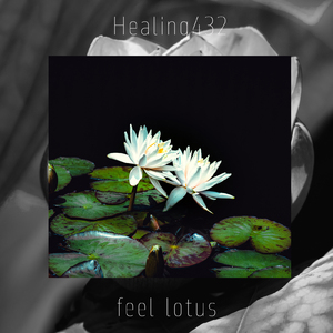 浅い眠り (Healing Cover)