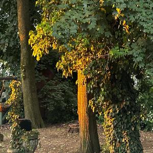 The Love You Don't Find