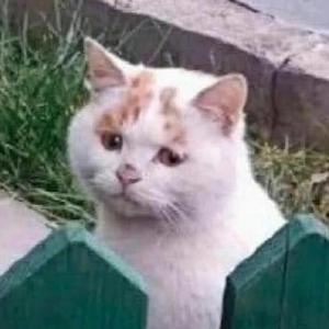 后来.