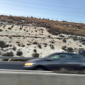 RUN AWAY (feat. peshy pishpot)