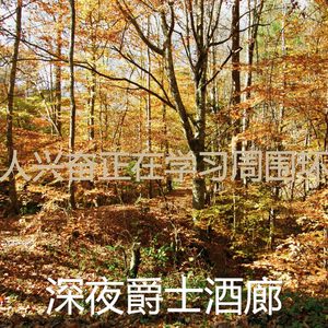 柔和的正在学习时刻
