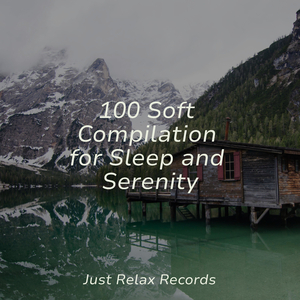 Wounded Wings Bloom Brightly