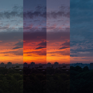 Night/Day