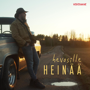 Hevosille heinää