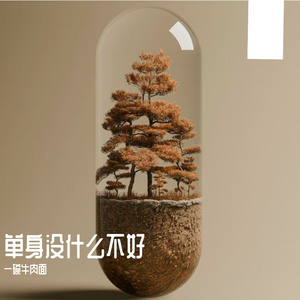 单身没什么不好