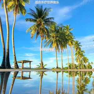 静止柔和的波萨诺伐舞曲